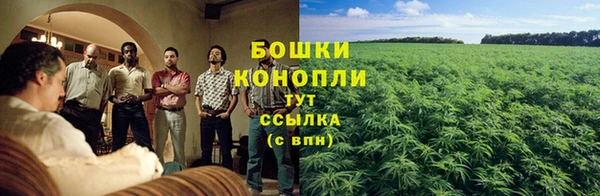 ПСИЛОЦИБИНОВЫЕ ГРИБЫ Беломорск