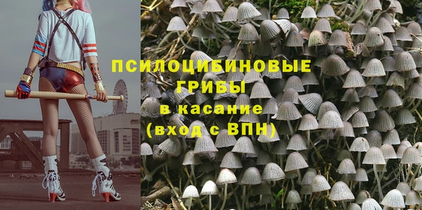спиды Белокуриха