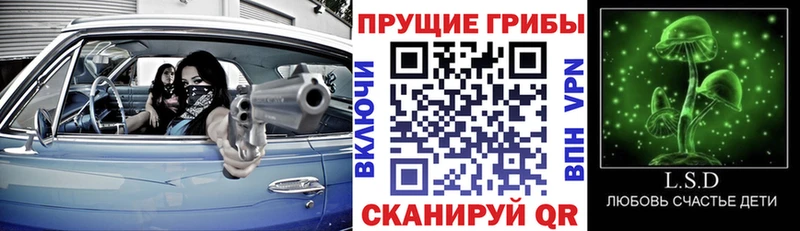 хочу   даркнет какой сайт  Галлюциногенные грибы ЛСД  Волосово 